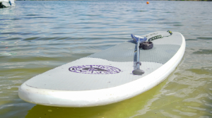 Tampa Bay Paddle Board Rentals