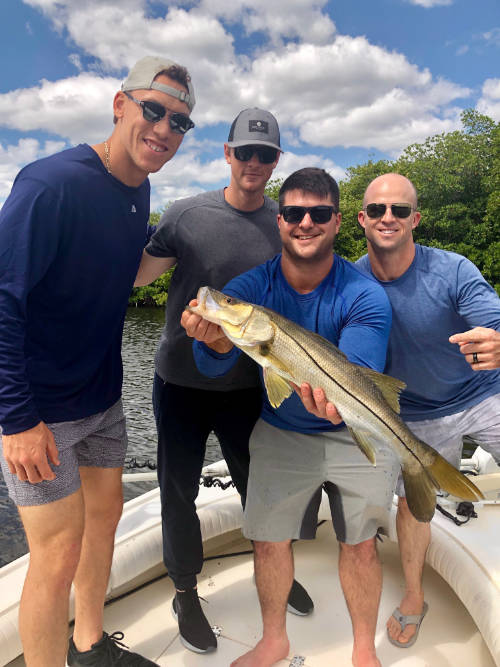 New York Yankees superstars: Aaron Judge, DJ LeMahieu, Mike Ford, and Brett Gardner